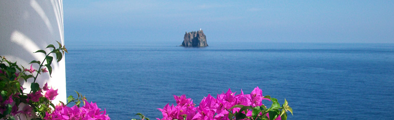 case per vacanze agenzia vacanze