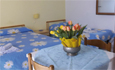 small_nardo_14.jpg