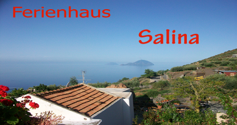 Insel salina